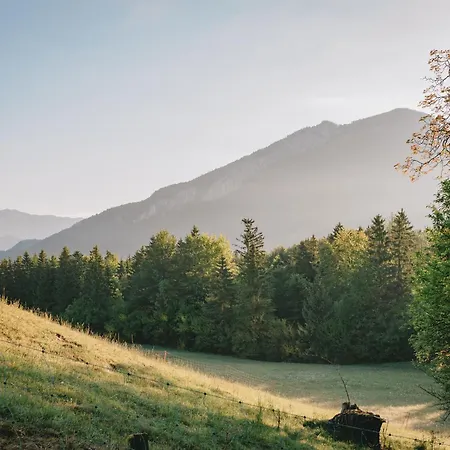 Cozy Bergzeit 230 - Mountain View, Stylish, Familyfriendly